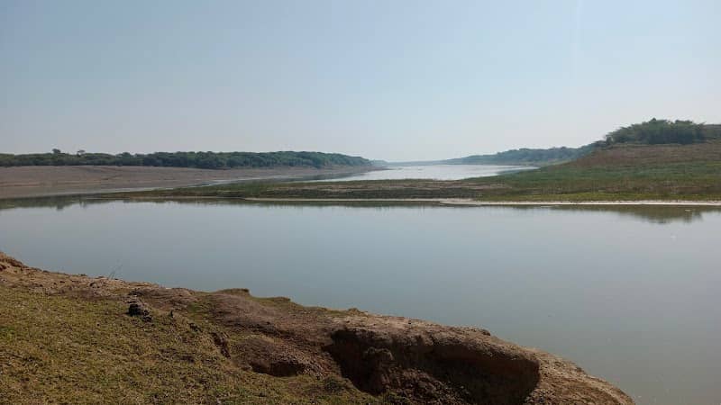 National Bird Watching Point - Image 1