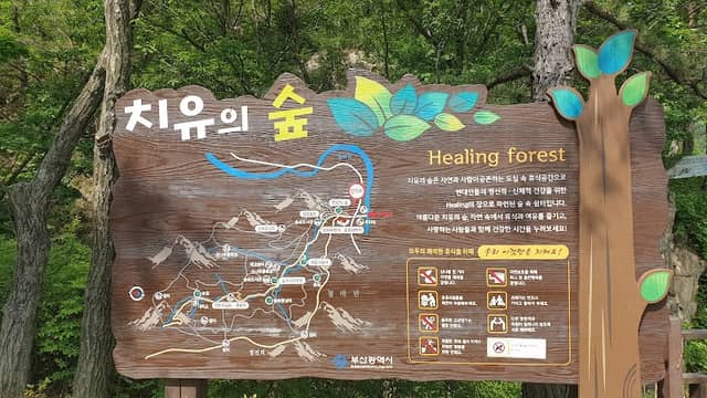 부산 치유의 숲 - Image 1