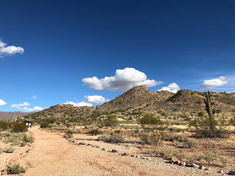 Silly Mountain - Image 1