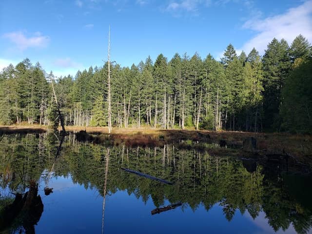 Calvert Park - Image 1