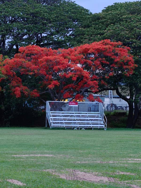 Aitkenvale Park - Image 1