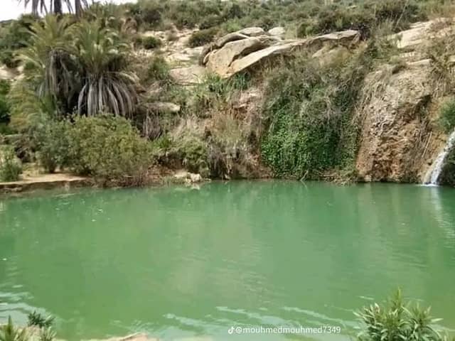 الڨباب - Image 1