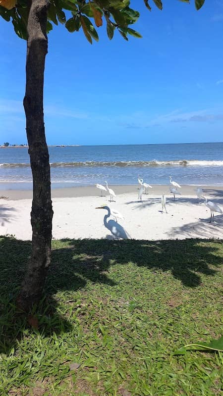 Praia de Jaraguá - Image 1