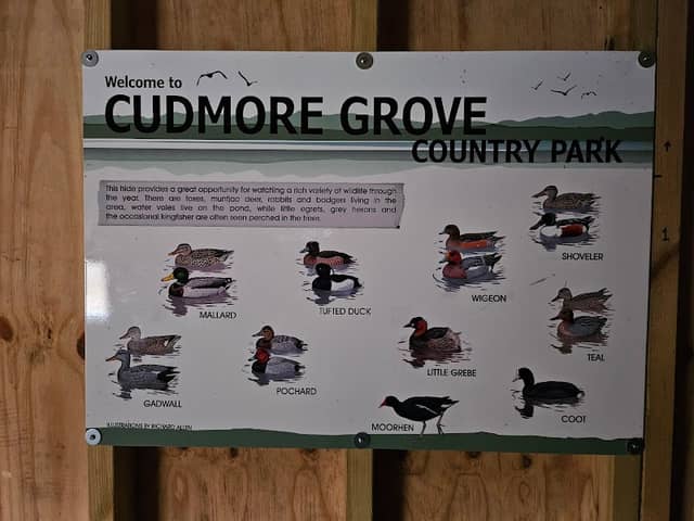 Bird Hide - Image 2