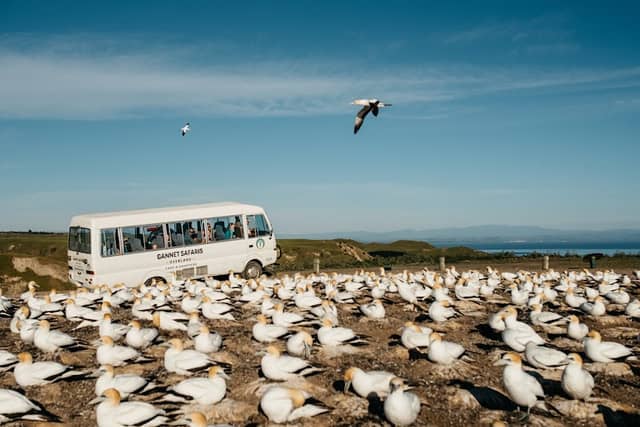 Gannet Safaris Overland Ltd - Image 1