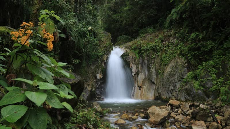 Santuario Natural de Mandor - Image 1