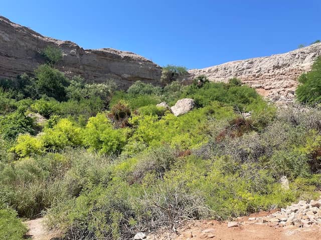 Whitney Mesa Park Recreation Area - Image 1