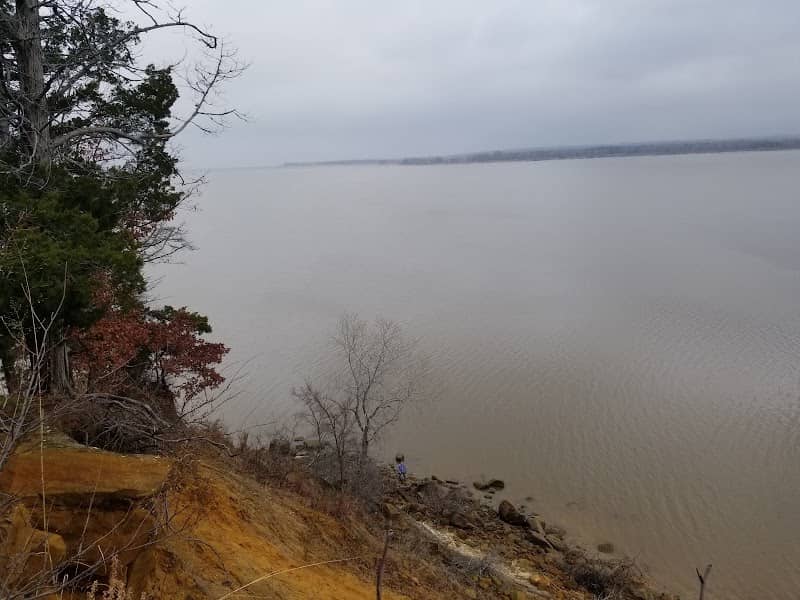Eagle's Roost - Image 1