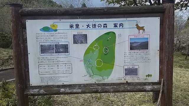 米里・大徳の森 - Image 2