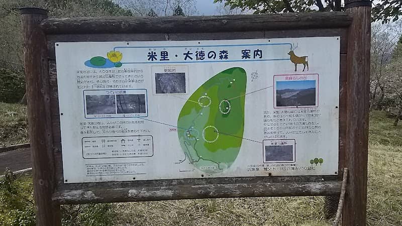米里・大徳の森 - Image 2