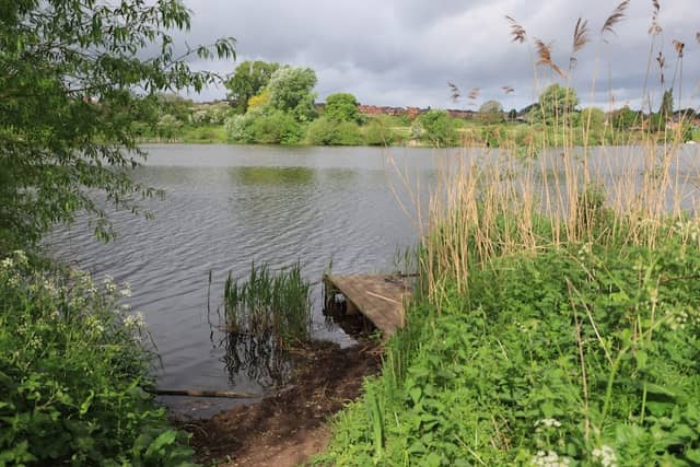 Rilshaw Meadows - Image 1