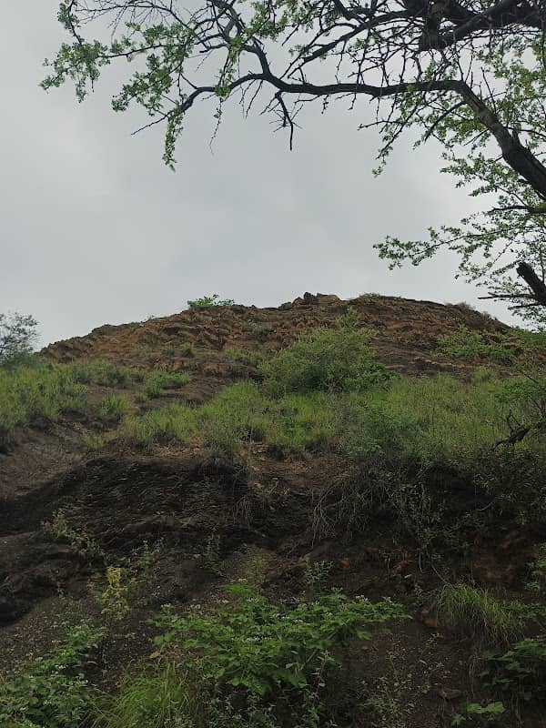 Cerro El Papelón - Image 2