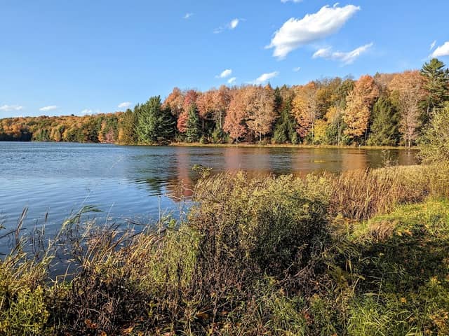 Hills Creek State Park - Image 1