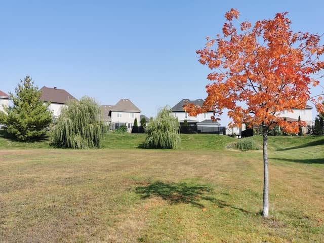 Corelli Park - Image 2