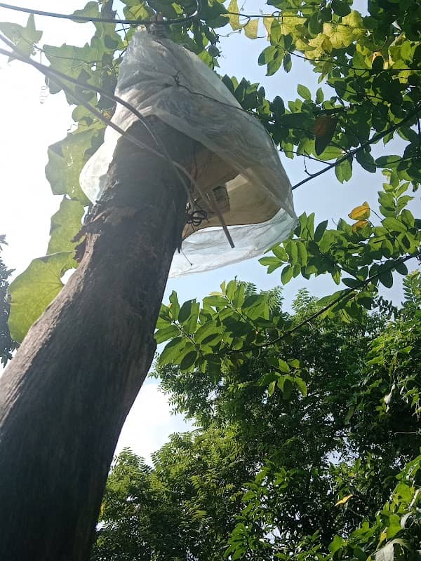 আকাশ ওয়াইফাই - Image 1