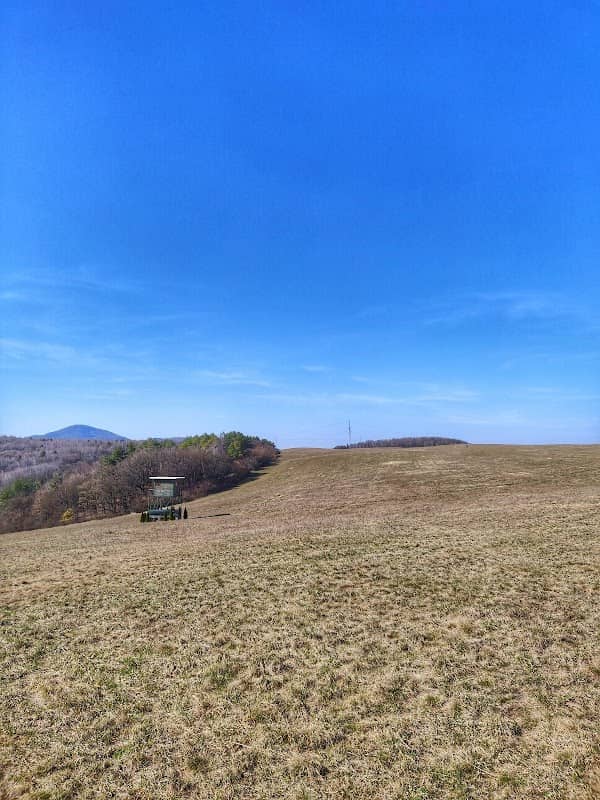 Kolova - Image 1