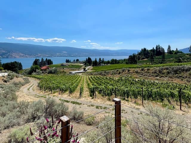 Grape Escapes Wine Tours - Image 3