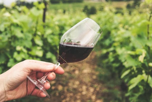 Grape Escapes Wine Tours - Image 1
