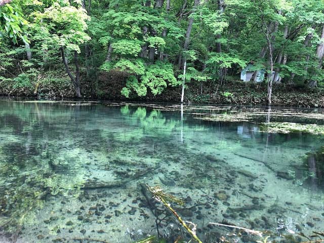 Torinuma Park - Image 3