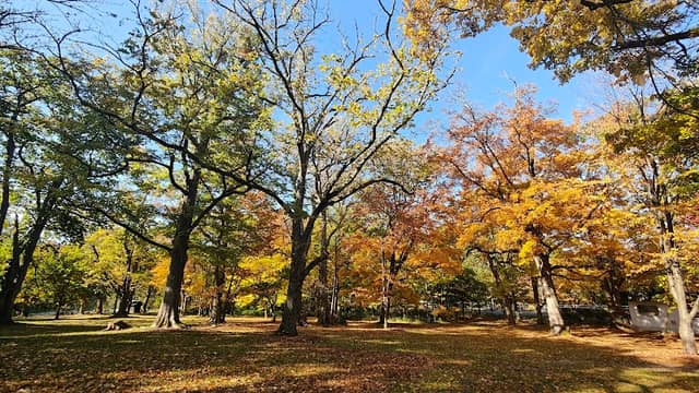 Torinuma Park - Image 1