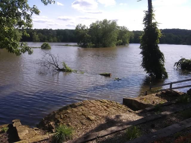 Zoar Wetland Arboretum - Image 2
