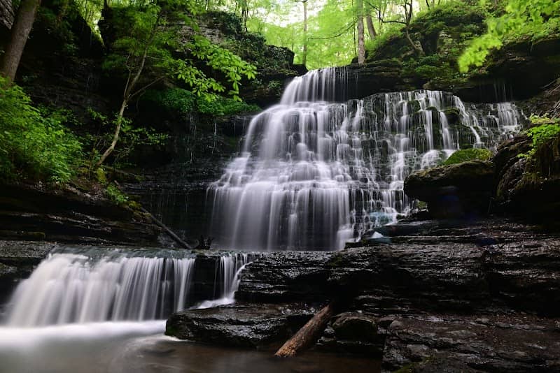 Short Springs Natural Area - Image 1