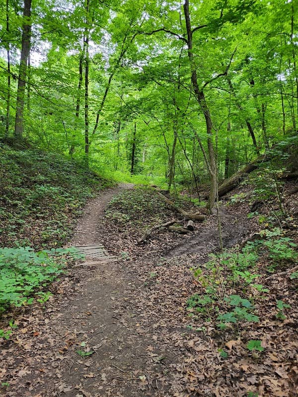 Ulrich Wildlife Preserve - Image 1