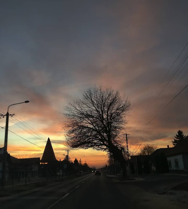 A falu fája Ceglédbercelen - Image 1