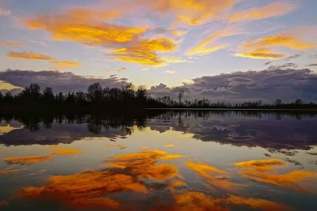 Province Pond - Image 1