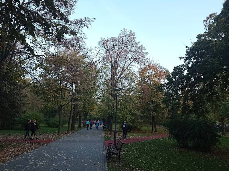 Oldest Tree in the People's Gardens - Image 1