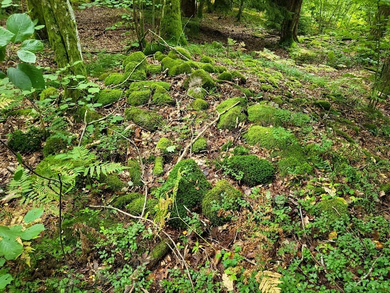 Gravrösen Gallhålan - Image 1