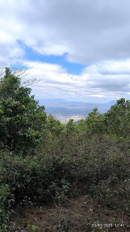La cruz del Shico - Image 3