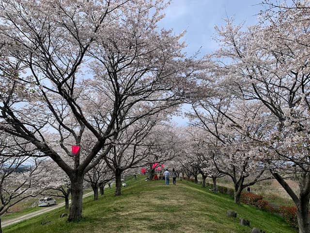 桜づつみ園 - Image 1