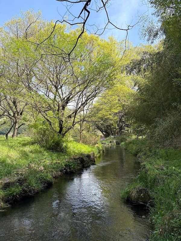Ninomiyaseki Water Park - Image 1