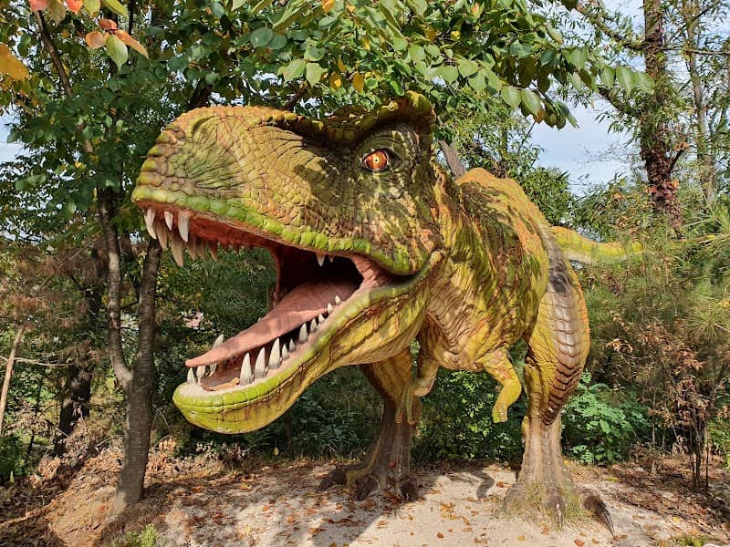 Miho Museum - Image 1