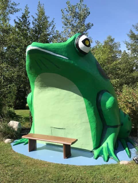 Fontana C. Frog - Image 1