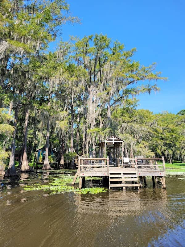 Mossy Brake Camp Caddo Lake Swamp Tours - Image 1