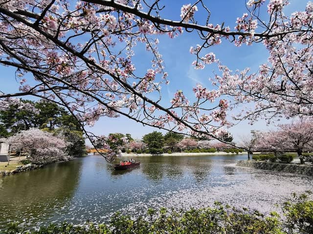 Kyuka Koen (Park) - Image 1