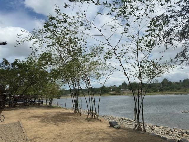 The Promise Island - Image 1