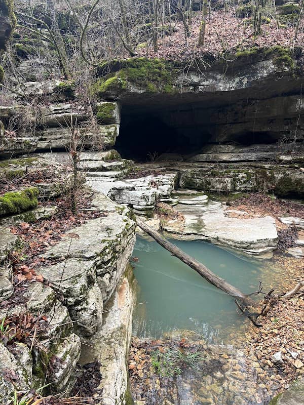 Hell Creek Natural Area - Image 1