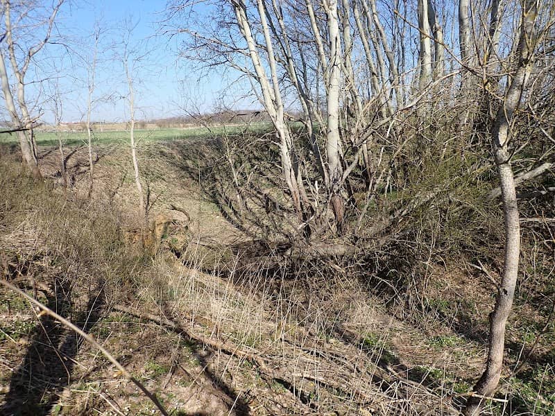 Doline ( Erdfall ) - Image 2