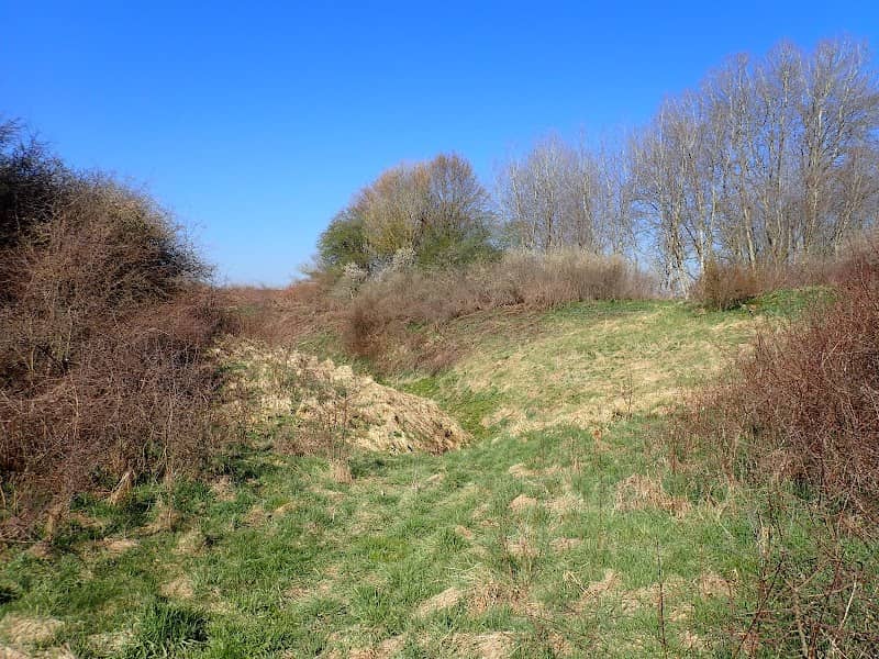 Doline ( Erdfall ) - Image 3