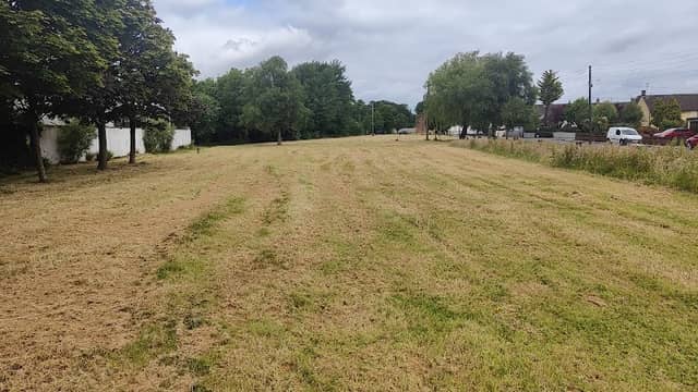 Public Green Pearse Park - Image 1