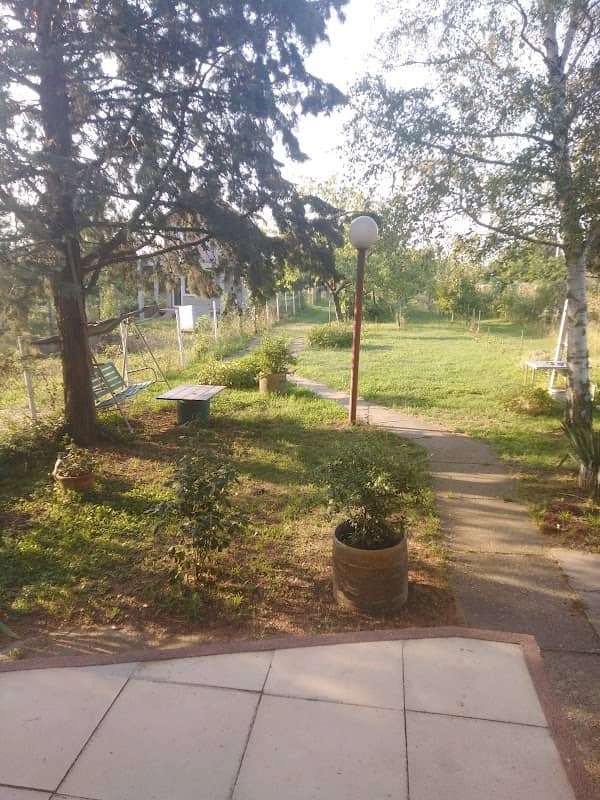 Bajića dvor - Image 2