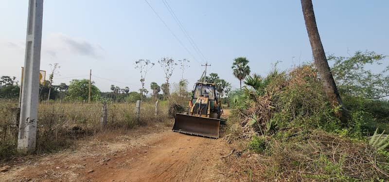 vani farm - Image 2