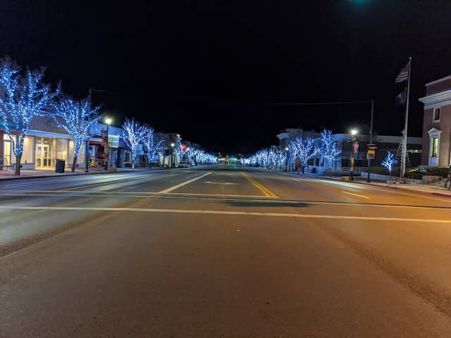 12 Paws Travel - Image 1