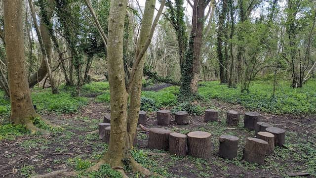 Steventon Copse - Image 1