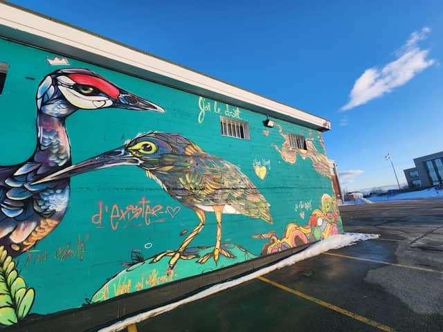 Fresque J'ai le Droit - Image 1