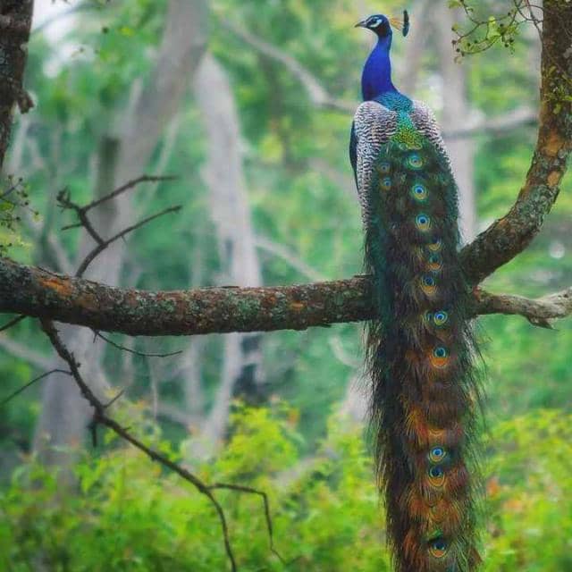 EVENING SPOT - Image 2