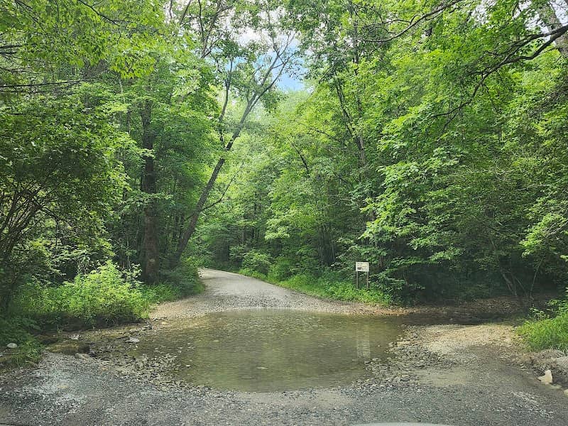 Blue Hole Falls - Image 2